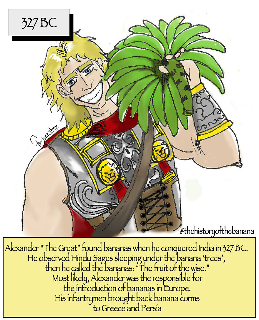 The Fascinating History Of The Banana