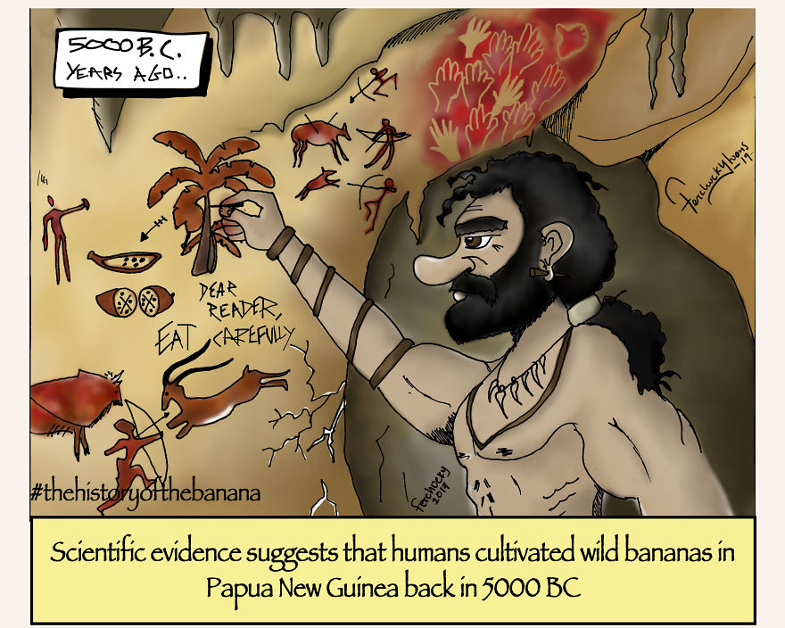 The Fascinating History Of The Banana The Fascinating History Of The Banana