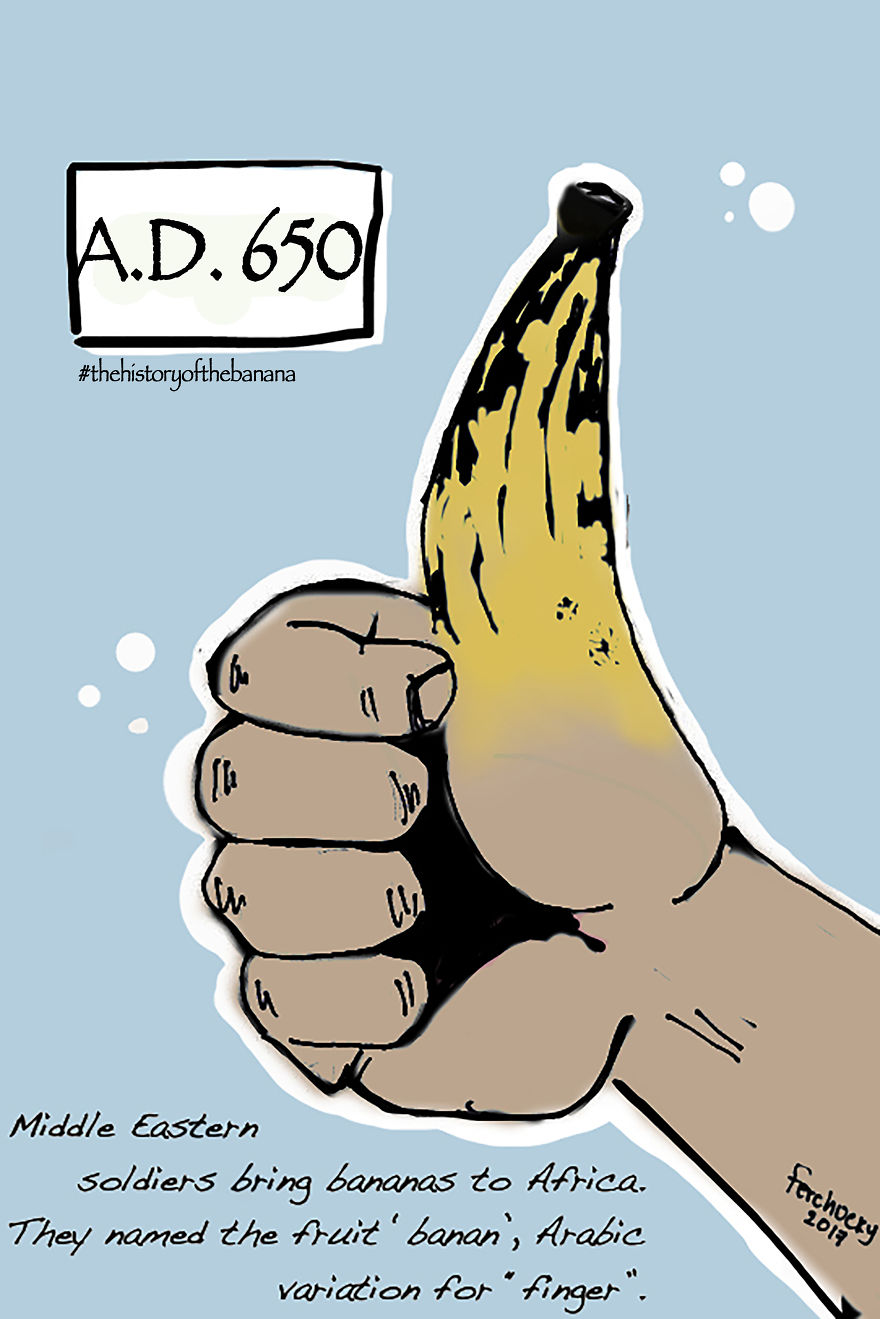 The Fascinating History Of The Banana The Fascinating History Of The Banana