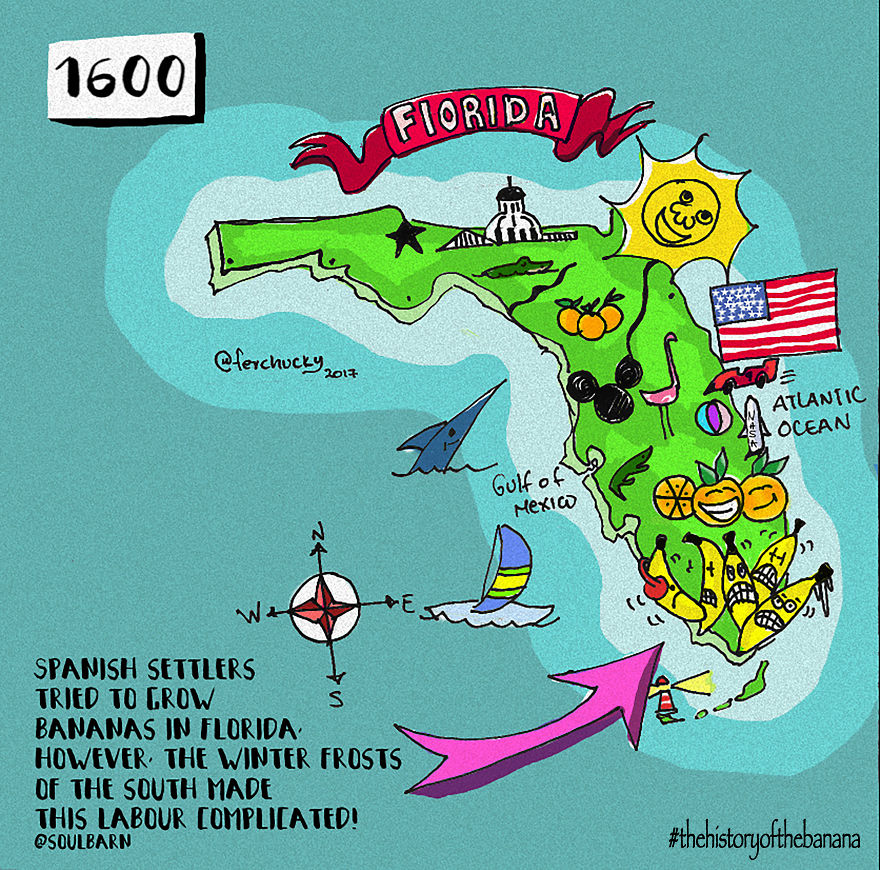 The Fascinating History Of The Banana The Fascinating History Of The Banana