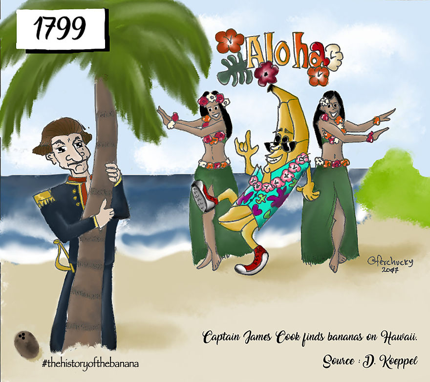 The Fascinating History Of The Banana