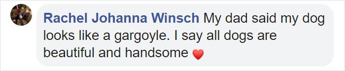 This Husky Who Was Rejected By A Breeder Because Of Her Funny Looks Is Now Going Viral This Husky Who Was Rejected By A Breeder Because Of Her Funny Looks Is Now Going Viral