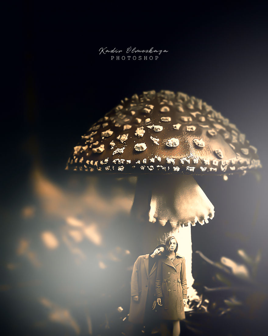 I Create Animal Photo Manipulations