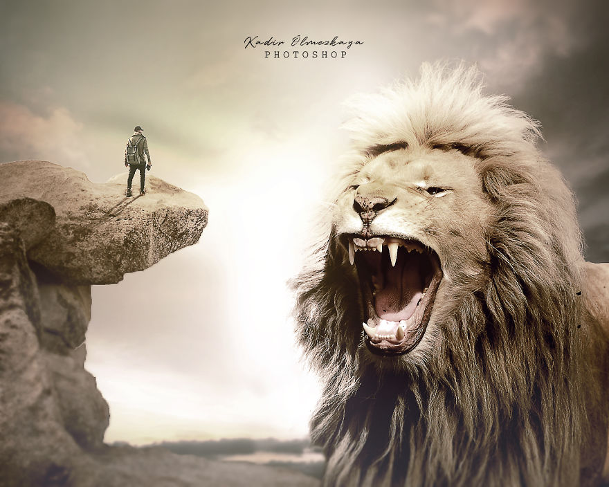 I Create Animal Photo Manipulations