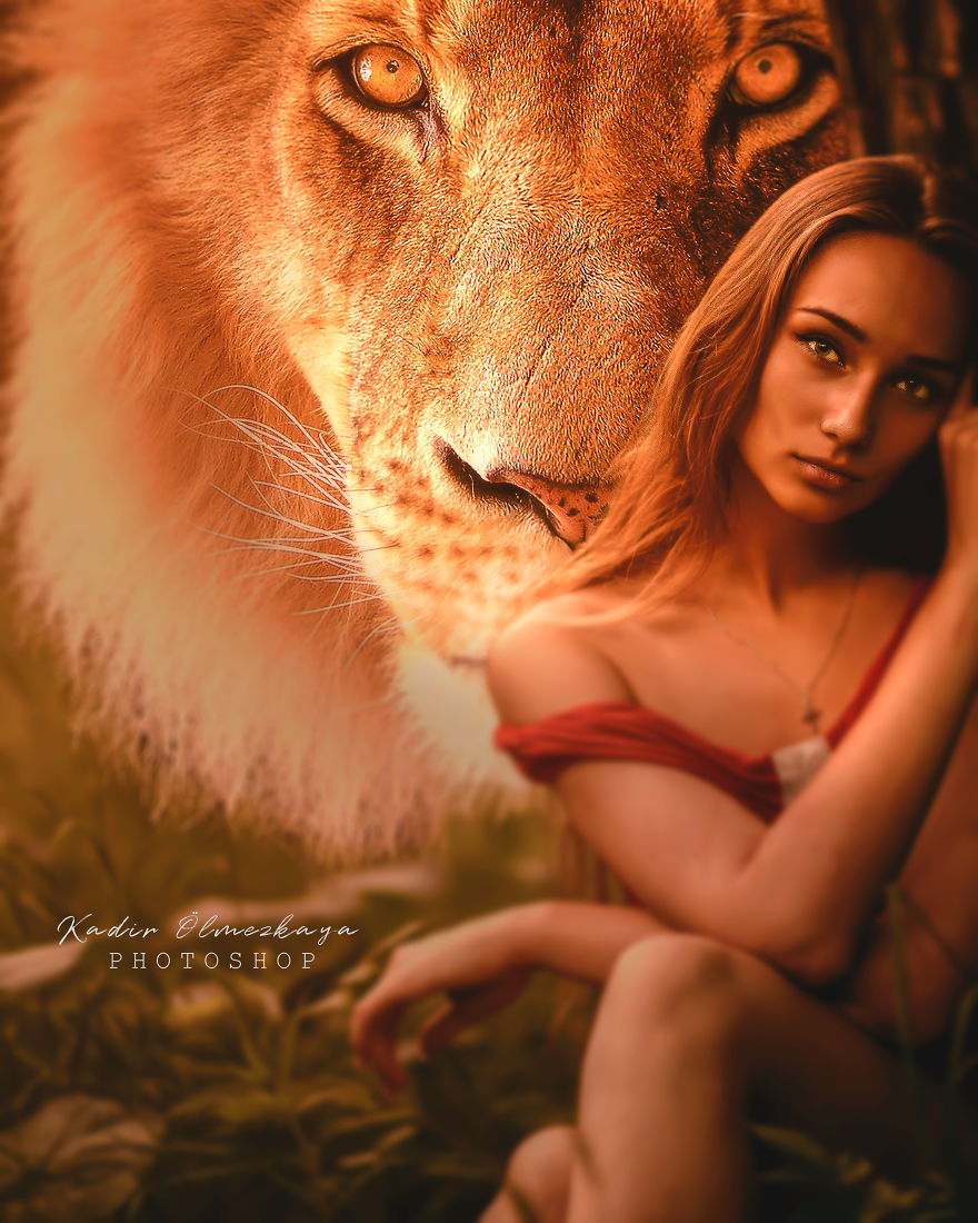 I Create Animal Photo Manipulations