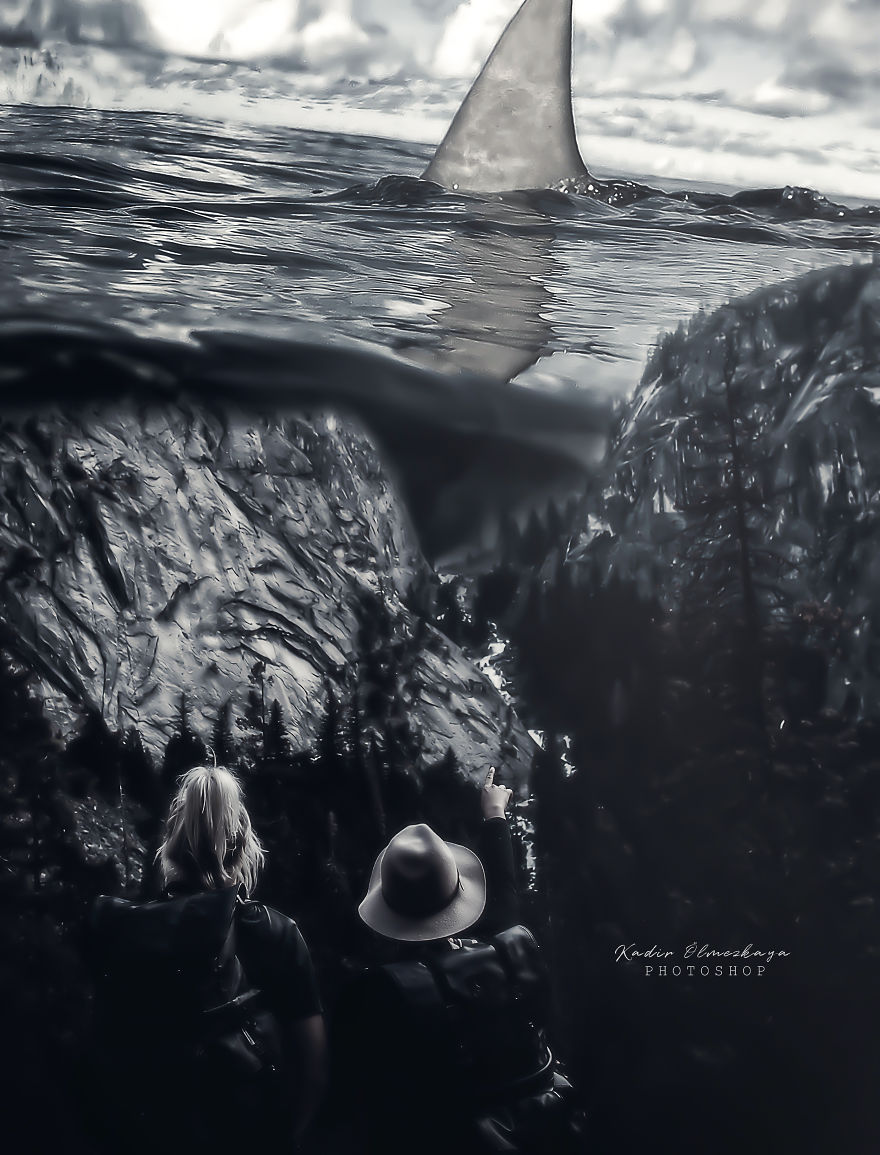 I Create Animal Photo Manipulations