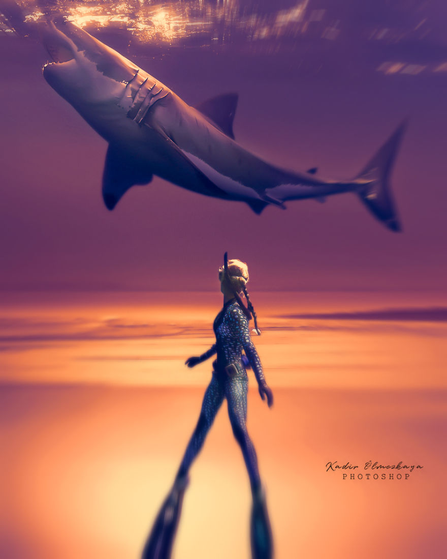 I Create Animal Photo Manipulations