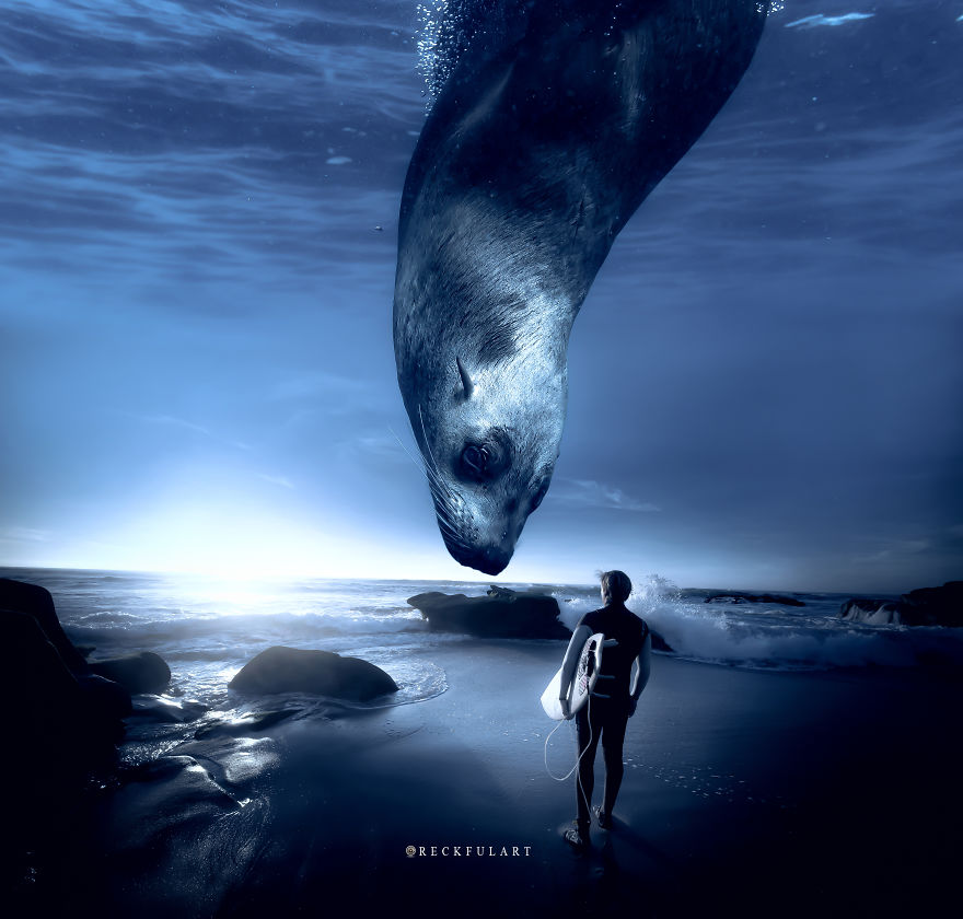I Create Animal Photo Manipulations