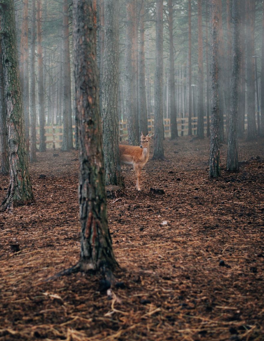 My Photography Captures The Art Of Slow-Life Full Of Deep And Emotional Connections You Miss When You Live In A Hurry