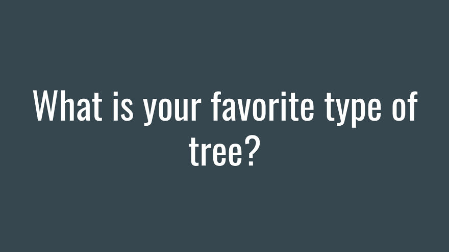 I Want The Bored Panda Community To Get Together And Do A Fun Little Quiz That I've Made