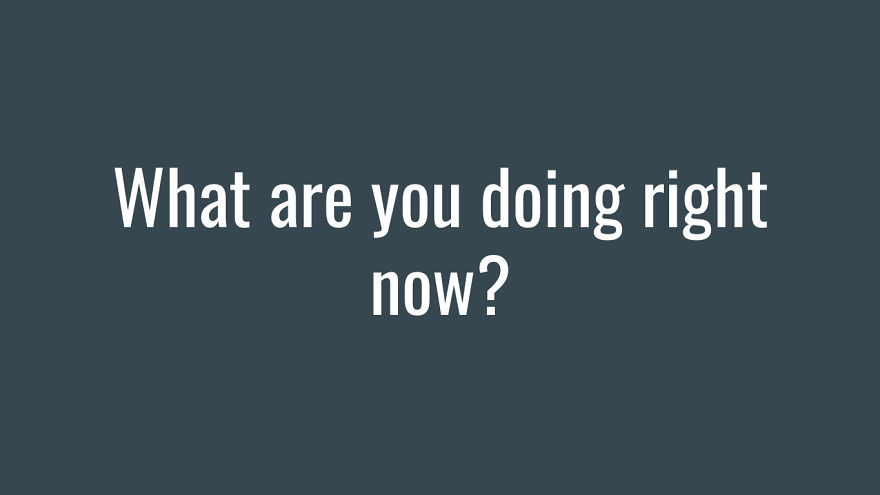 I Want The Bored Panda Community To Get Together And Do A Fun Little Quiz That I’ve Made (New Pics)