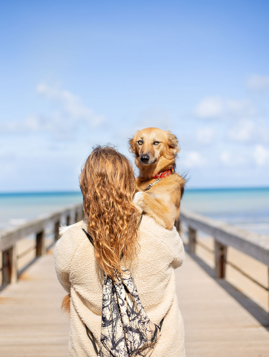 Very Scary Pier In Normandy
