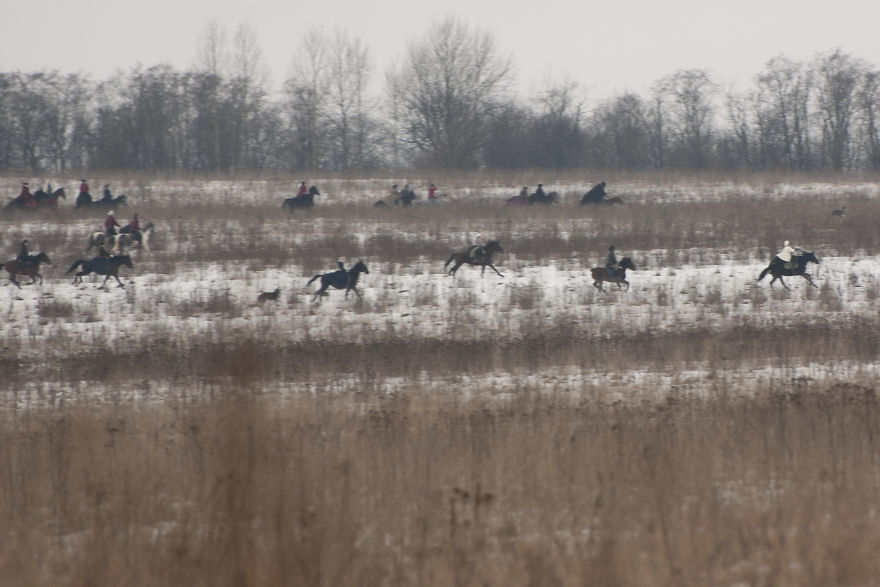 The Peculiarities Of The Historical Reenactment Of Horse-Hunts Held By Russian Aristocracy