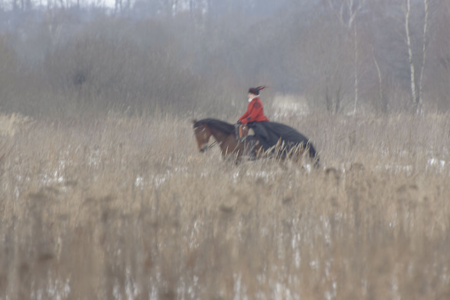 The Peculiarities Of The Historical Reenactment Of Horse-Hunts Held By Russian Aristocracy The Peculiarities Of The Historical Reenactment Of Horse-Hunts Held By Russian Aristocracy