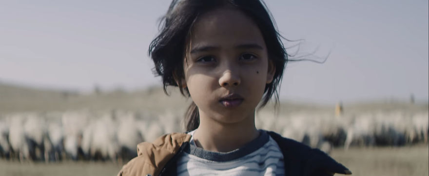 My Son And I Spent At Least 5 Years Growing Our Hair Out And Now We Decided To Donate For Children With Cancer And Raise Money To Save Koalas