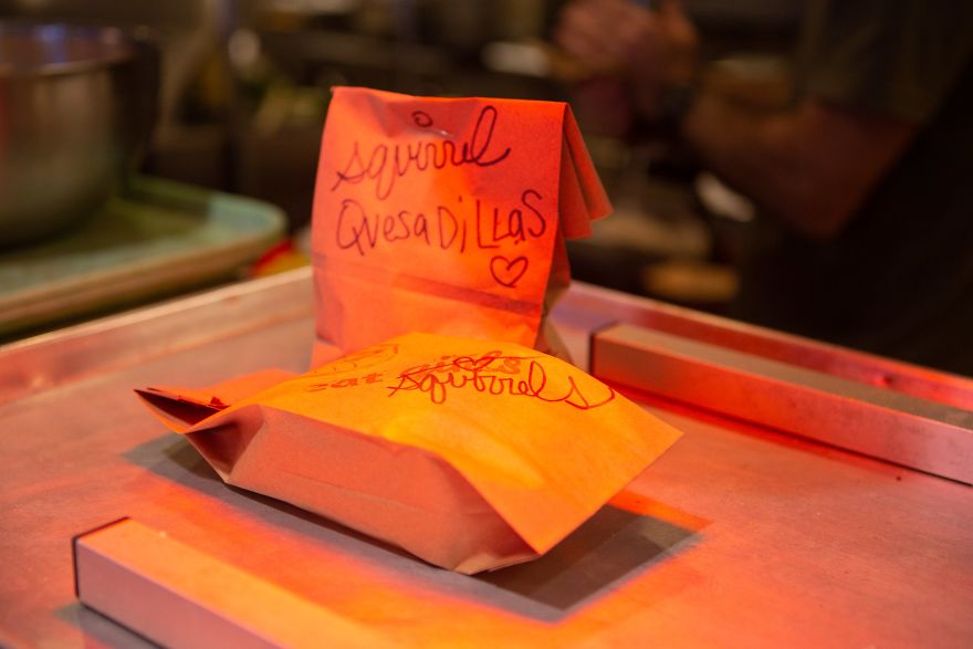 The First-Ever Food Joint For Squirrels Is Booming In Lexington, Kentucky The First-Ever Food Joint For Squirrels Is Booming In Lexington, Kentucky
