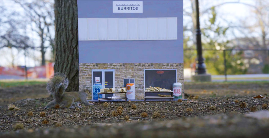 The First-Ever Food Joint For Squirrels Is Booming In Lexington, Kentucky The First-Ever Food Joint For Squirrels Is Booming In Lexington, Kentucky