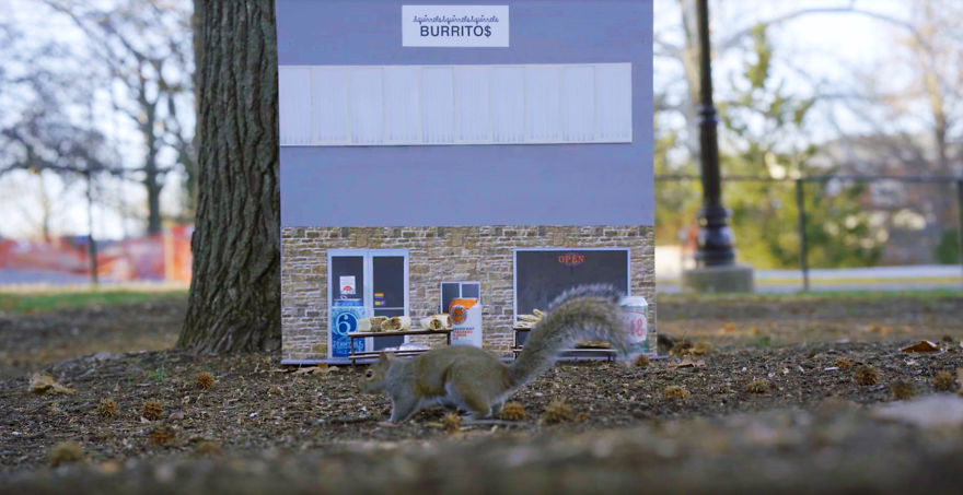 The First-Ever Food Joint For Squirrels Is Booming In Lexington, Kentucky The First-Ever Food Joint For Squirrels Is Booming In Lexington, Kentucky