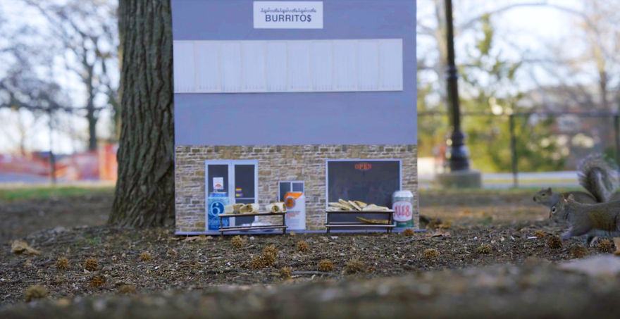 The First-Ever Food Joint For Squirrels Is Booming In Lexington, Kentucky The First-Ever Food Joint For Squirrels Is Booming In Lexington, Kentucky