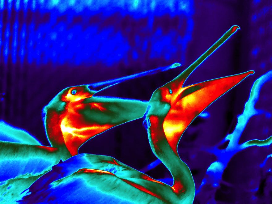 This Exhibition Really Gets Under My Skin