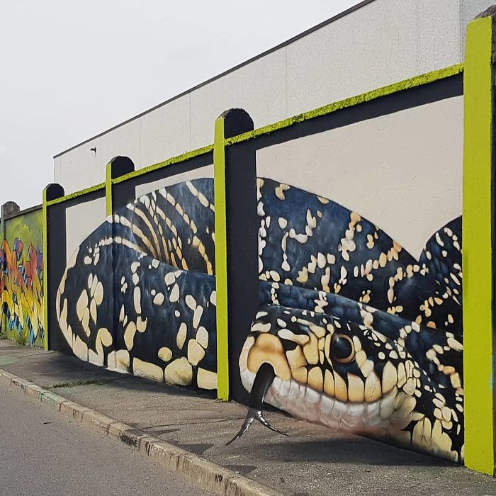 3D street art of a large snake painted on a wall, interacting with surroundings along a sidewalk and fence posts.