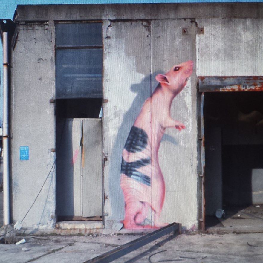 This Street Performer Beautifies The Walls And Empty Spaces Of His City With His Stunning 3D Art.