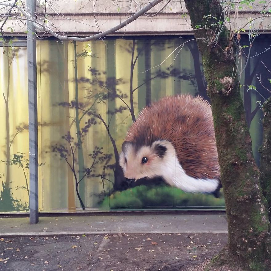 This Street Performer Beautifies The Walls And Empty Spaces Of His City With His Stunning 3D Art.