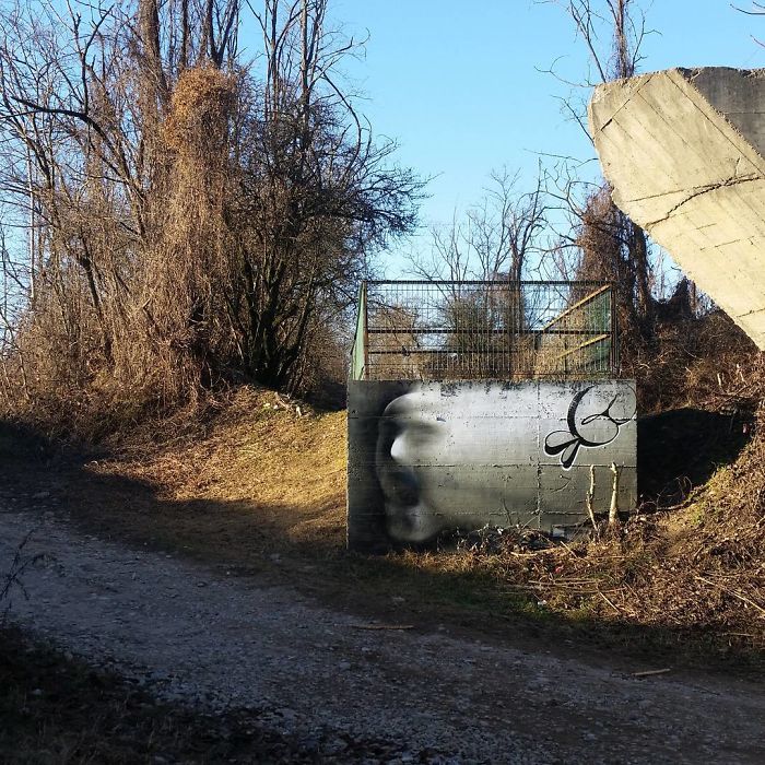 3D street art on a concrete wall creates an illusion of a face interacting with the natural surroundings on a woodland path.