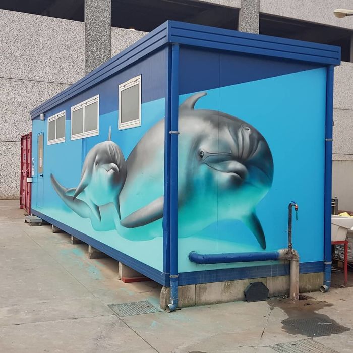 3D street art of dolphins swimming on a building exterior interacting with its surroundings in an urban setting.