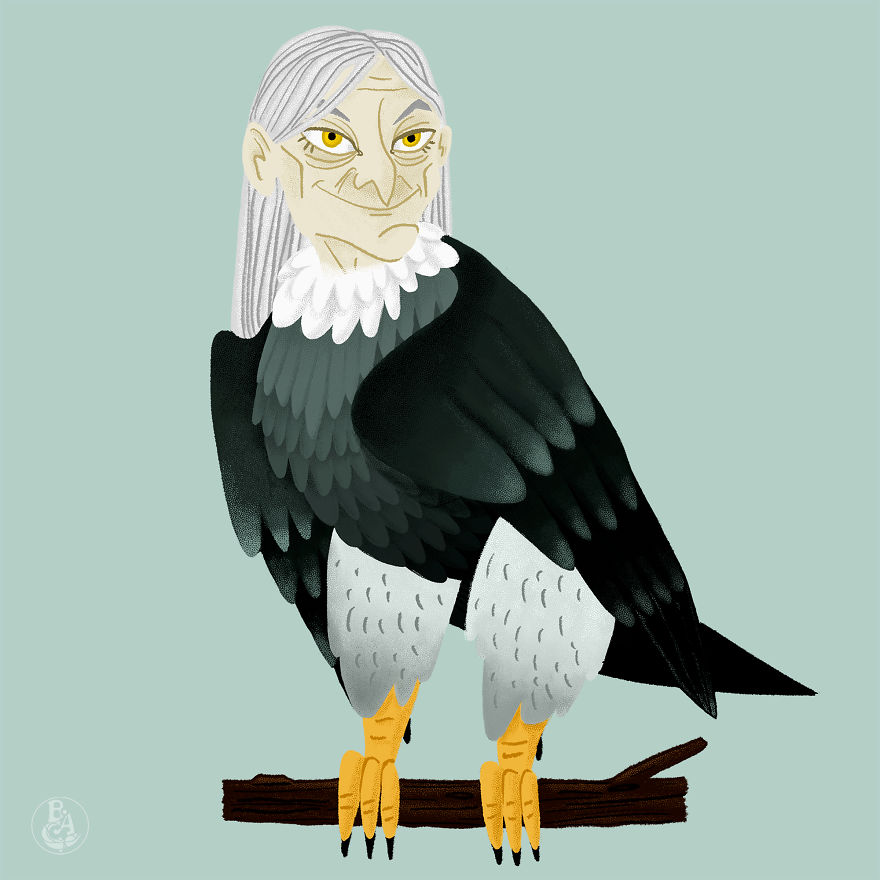 Harpy