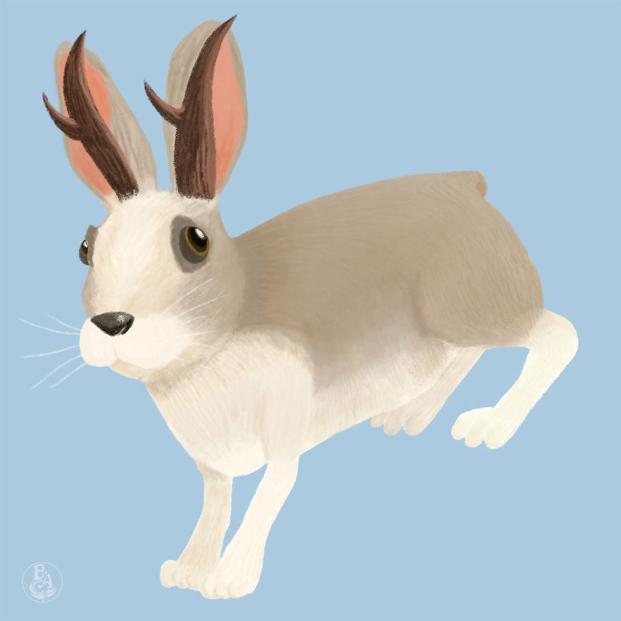 Jackalope