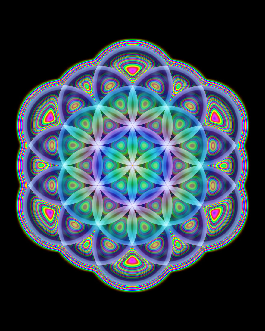 Work In Progress 2019 (Cate Farrand)