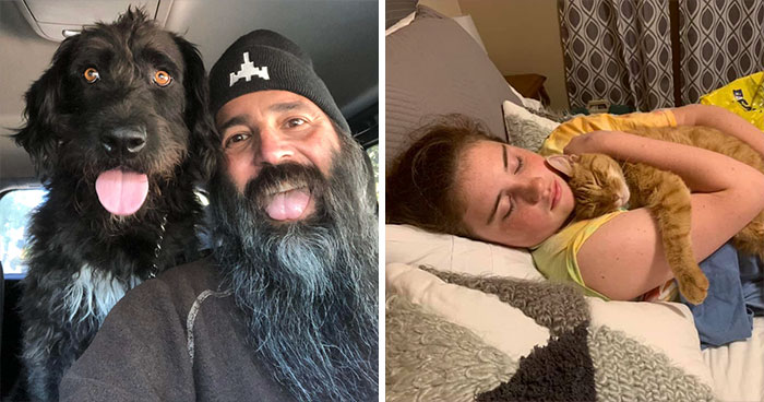 40 Most Wholesome Rescue Pet Photos Of The Month