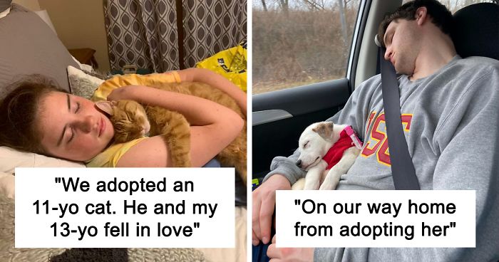 40 Most Wholesome Rescue Pet Photos Of The Month