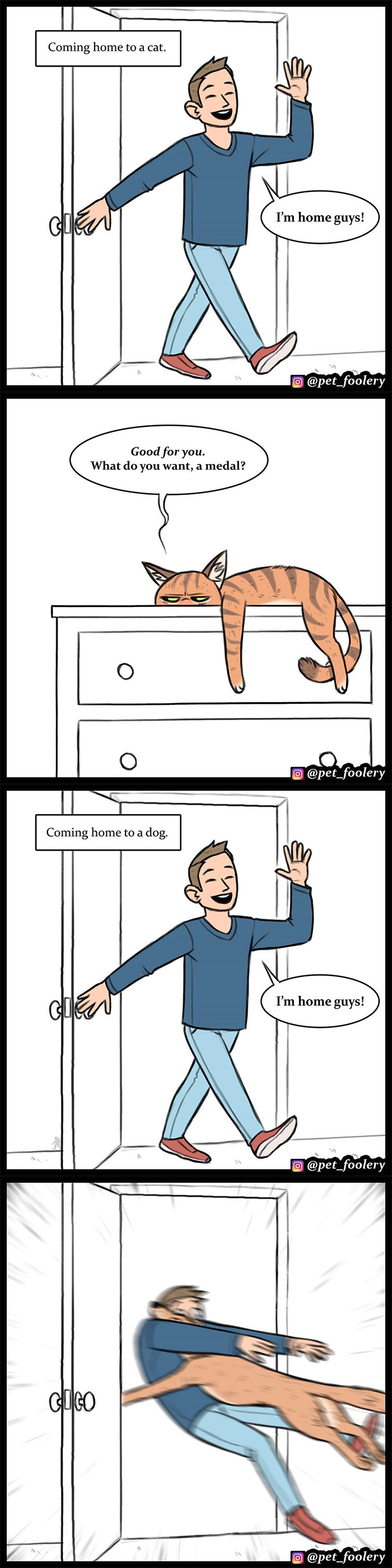 Animal-Comics-Pet-Foolery