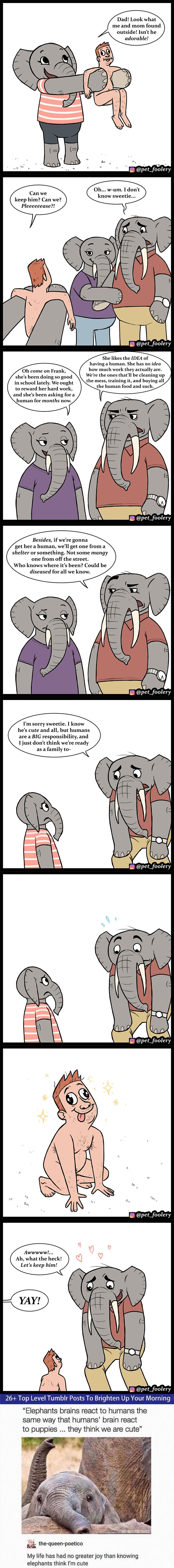 Animal-Comics-Pet-Foolery