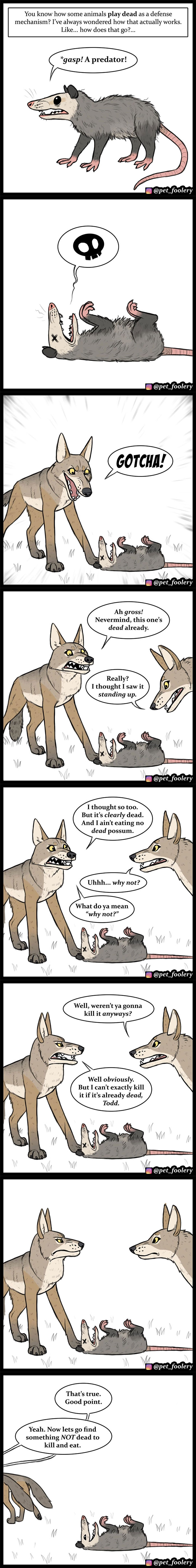 Animal-Comics-Pet-Foolery