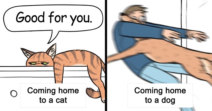 30 Funny Comics About Animals By Pet Foolery