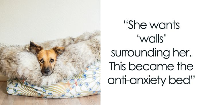 I Designed A ‘Fortress’ For My Dog Adopted From A Kill Shelter That Helps Dealing With Her Anxiety