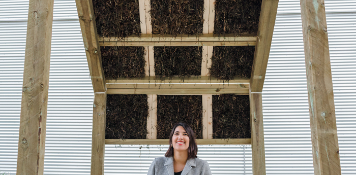Architect Kathryn Larsen Tries Alternative Sustainable Building Material And Her Ideas Caught People’s Imagination