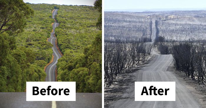 19 Then And Now Photos Of Australia Show How Much Damage The Fires Have Already Done