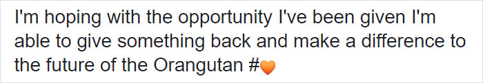 Breastfeeding Mom's Emotional Encounter With Orangutan At The Oldest Zoo In The World Goes Viral Breastfeeding Mom's Emotional Encounter With Orangutan At The Oldest Zoo In The World Goes Viral