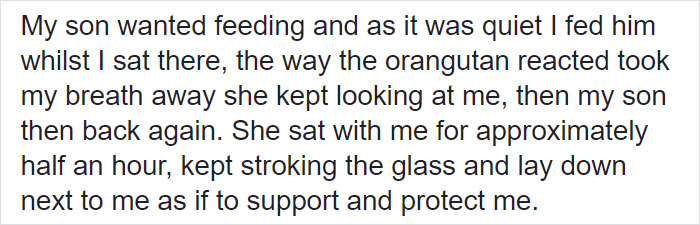 Breastfeeding Mom's Emotional Encounter With Orangutan At The Oldest Zoo In The World Goes Viral Breastfeeding Mom's Emotional Encounter With Orangutan At The Oldest Zoo In The World Goes Viral
