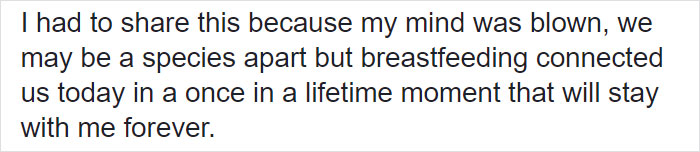 Breastfeeding Mom's Emotional Encounter With Orangutan At The Oldest Zoo In The World Goes Viral Breastfeeding Mom's Emotional Encounter With Orangutan At The Oldest Zoo In The World Goes Viral