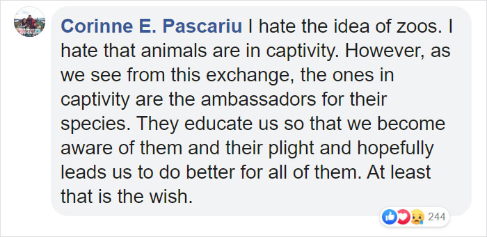 Breastfeeding Mom's Emotional Encounter With Orangutan At The Oldest Zoo In The World Goes Viral Breastfeeding Mom's Emotional Encounter With Orangutan At The Oldest Zoo In The World Goes Viral