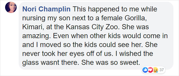 Breastfeeding Mom's Emotional Encounter With Orangutan At The Oldest Zoo In The World Goes Viral Breastfeeding Mom's Emotional Encounter With Orangutan At The Oldest Zoo In The World Goes Viral