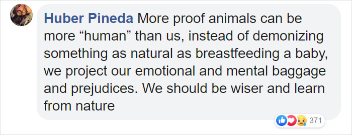 Breastfeeding Mom's Emotional Encounter With Orangutan At The Oldest Zoo In The World Goes Viral Breastfeeding Mom's Emotional Encounter With Orangutan At The Oldest Zoo In The World Goes Viral