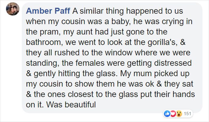 Breastfeeding Mom's Emotional Encounter With Orangutan At The Oldest Zoo In The World Goes Viral Breastfeeding Mom's Emotional Encounter With Orangutan At The Oldest Zoo In The World Goes Viral