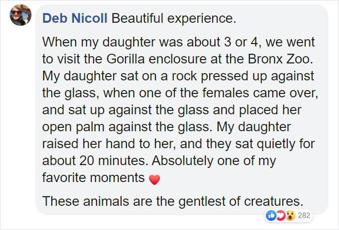 Breastfeeding Mom's Emotional Encounter With Orangutan At The Oldest Zoo In The World Goes Viral Breastfeeding Mom's Emotional Encounter With Orangutan At The Oldest Zoo In The World Goes Viral