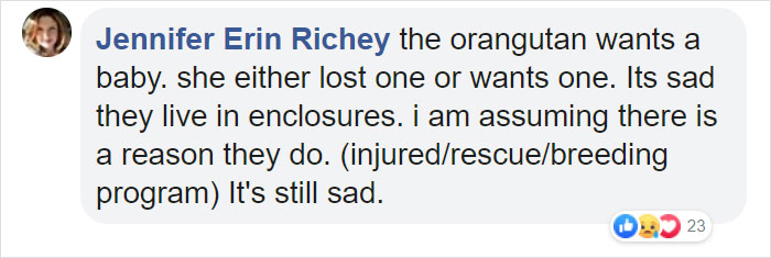 Breastfeeding Mom's Emotional Encounter With Orangutan At The Oldest Zoo In The World Goes Viral Breastfeeding Mom's Emotional Encounter With Orangutan At The Oldest Zoo In The World Goes Viral